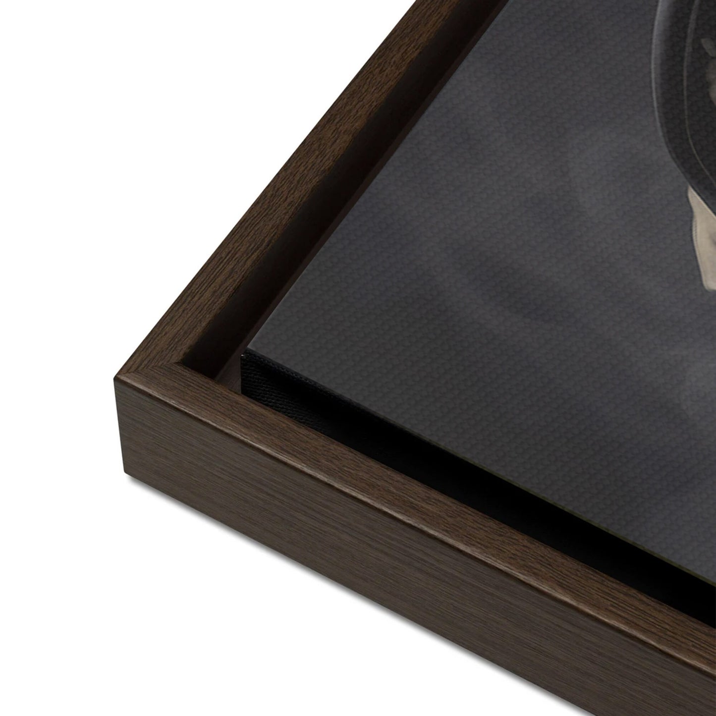 Salomon | A Tribute to the Bravery and Loyalty of a Golden Retriever | Wrapped Canvas with Premium Floating Frame